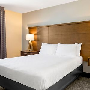 One-Bedroom Queen Suite Sofa Bed Disability Access